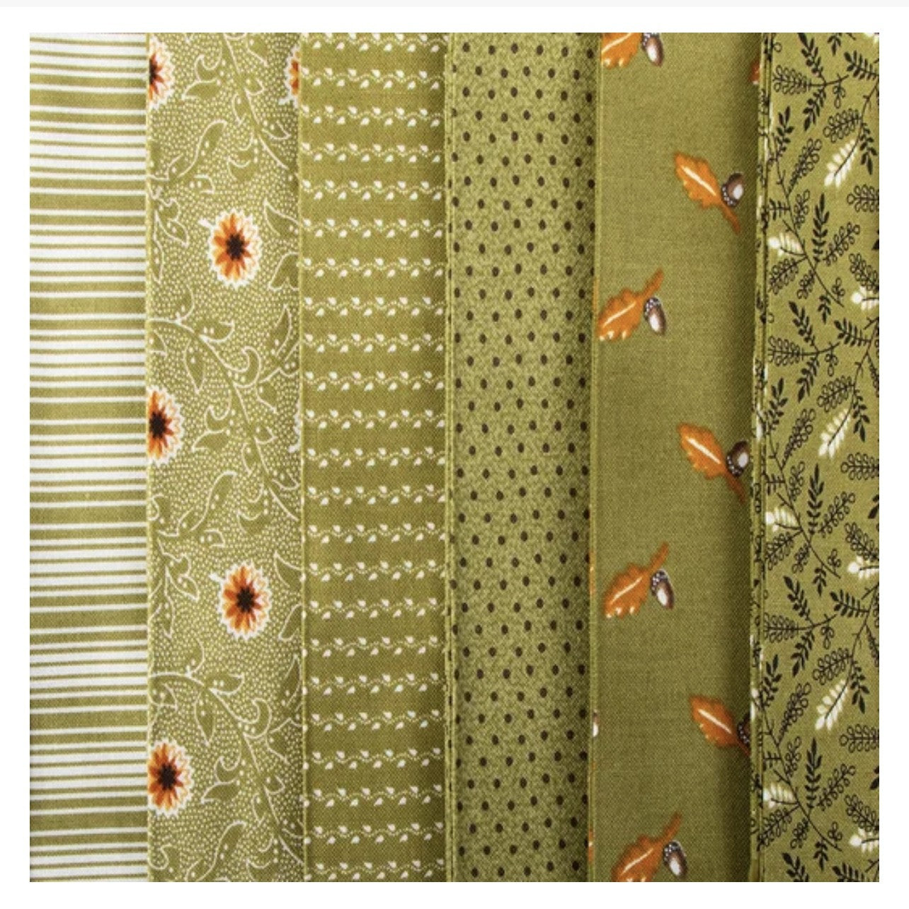 Jelly Roll Pumpkin Spice Gatherings