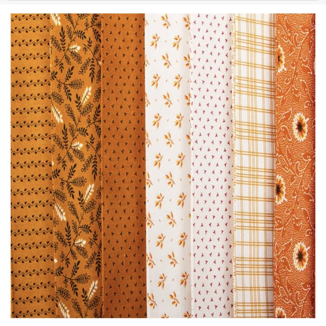 Jelly Roll Pumpkin Spice Gatherings